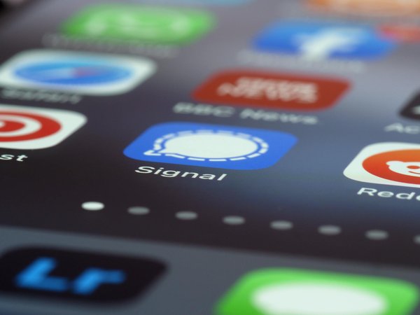 Découvrez comment linkuma peut booster votre seo durablement